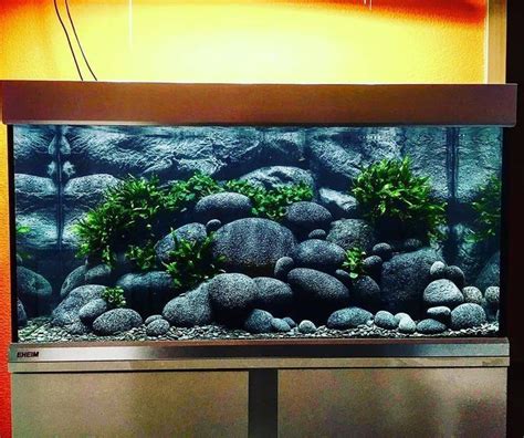 Aquarium Hobby on Instagram: “You don't see river rocks in planted tanks very often. We love ...