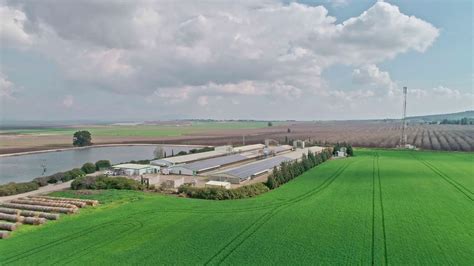 Aerial footage over chicken farm covered with solar panels in northern ...