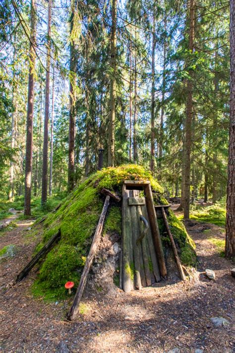 Exploring the Magical Forests of Central Sweden - Travel Babbo