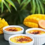 56 Creme Brulee Flavors for Every Season | Miss Buttercup
