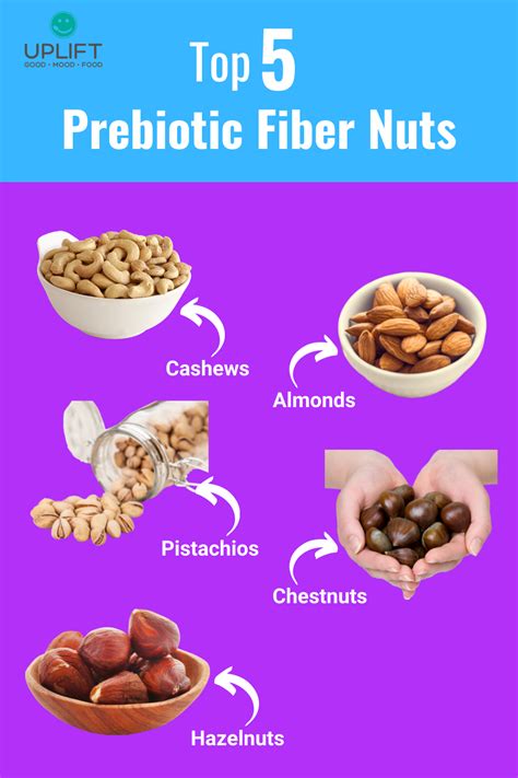 Top 5 Prebiotic Fiber Nuts | Prebiotics, Gut health recipes, Resistant starch foods