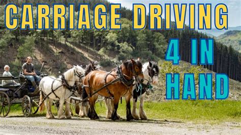 Carriage driving with a 4 in hand! - YouTube