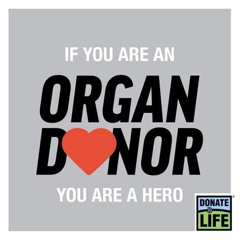 If you are an organ donor, you are a hero. 💚💙💚💙 | Organ donation quotes, Organ donor quotes ...