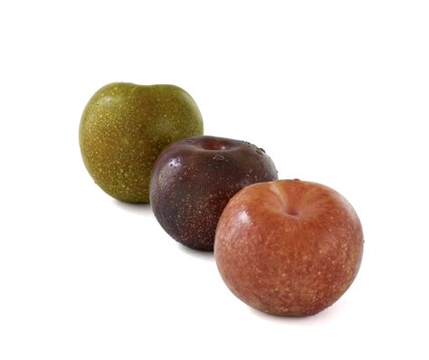 What Are Pluots, and How Are They Used?