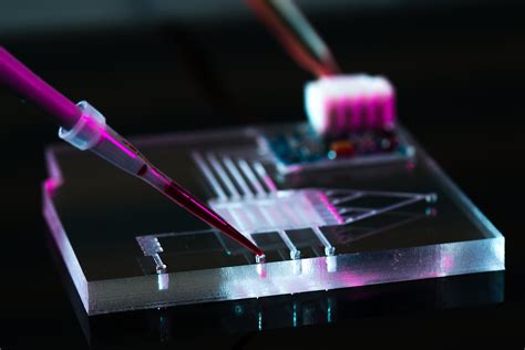 Organ-on-a-chip | Axion Biosystems