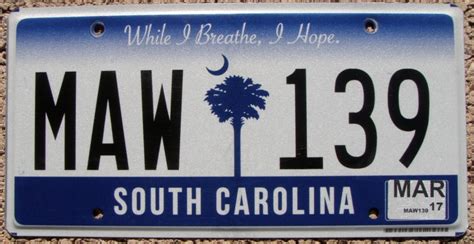 South Carolina License Plates for Sale from Paranogonah.com