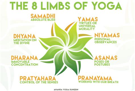 The Eight Limbs of Raja Yoga – Moscow Yoga Center