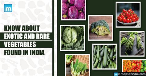 Know about the Exotic And Rare Vegetables found In India - Agriculture