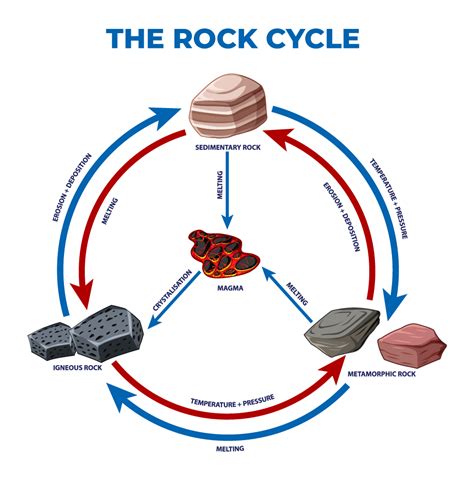 Rock Cycle | Igneous Rock, Metamorphic Rock, Sedimentary Rock