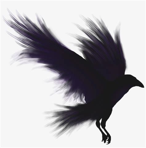 Crows Shadow Emblem - Raven Png - Free Transparent PNG Download - PNGkey