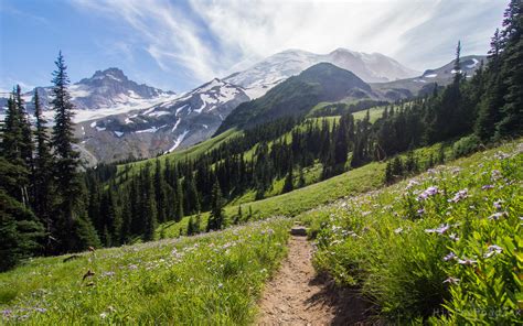 A walk on The Wonderland Trail in Mount Rainier National Park. It's appropriately named ...