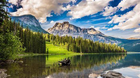 Montanhas, Floresta, Lago, Pedra, Tronco