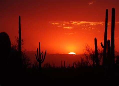 Fiery Sunset Sky | Shutterbug