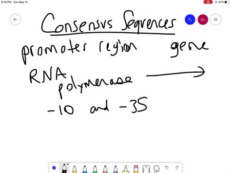 The -10 and -35 regions of prokaryotic promoters are called consensus sequences because . a ...