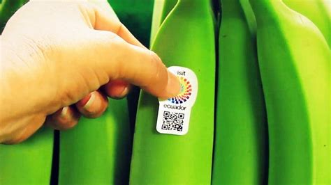 Ecuador pins tourism hope on its banana QR code stickers – Skift