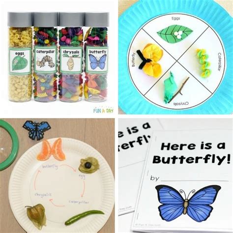 Butterfly Life Cycle Activities the Kids Will Love - Fun-A-Day!