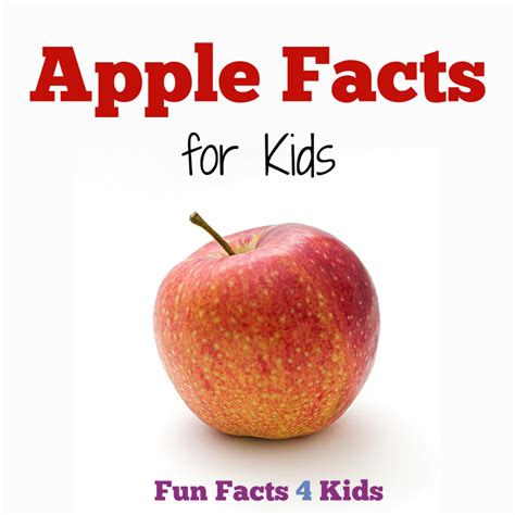 Apple Facts for Kids – Fun Facts 4 Kids