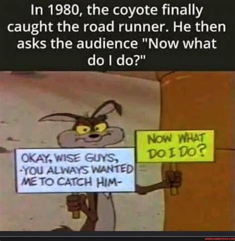 In 1980, the coyote finally caught the road runner. He then asks the audience "Now what do I do ...