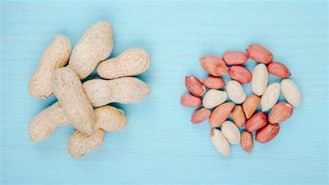 Peanut Nutrition Facts: 6 Surprising Facts You Need to Know - Spotcovery