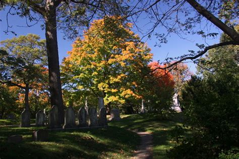 Fall, Mount Auburn Cemetery | Bill Ilott | Flickr