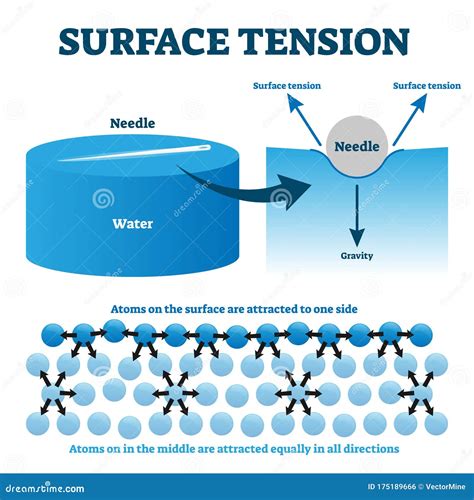 Surface Tension Cartoon Vector | CartoonDealer.com #92206295