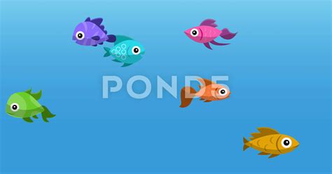 Animated Moving Fish Images