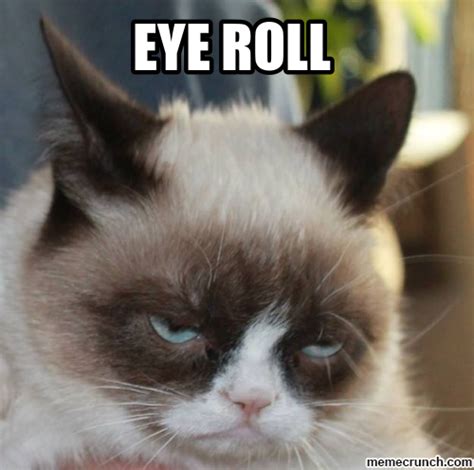 Eye roll | Cats, Kittens funny, Grumpy cat