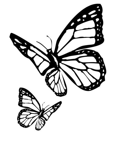 Butterfly Black And White Drawing at PaintingValley.com | Explore collection of Butterfly Black ...