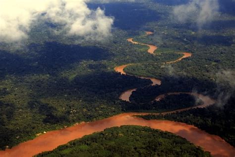 Devastation caused by illegal miners in Peru reaches national reserve - MINING.COM