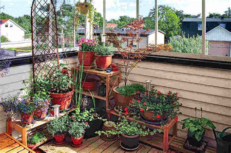 How to Create a Balcony Garden