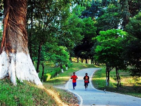 Indira Gandhi Park, itanagar, India - Top Attractions, Things to Do & Activities in Indira ...