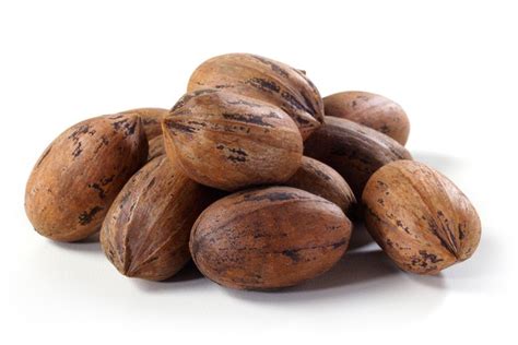 Hard Shell Pecans - By the Pound - Nuts.com