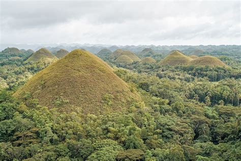 Best tourist spots in bohol bohol island guide – Artofit