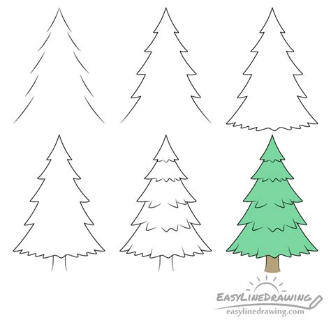 How to Draw a Pine Tree Step by Step - EasyLineDrawing