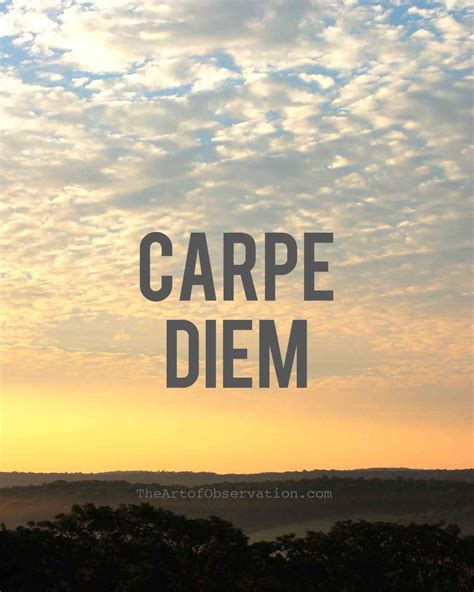 Carpe Diem iPhone Wallpapers - Top Free Carpe Diem iPhone Backgrounds - WallpaperAccess