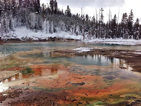 Winter at Norris Geyser Basin