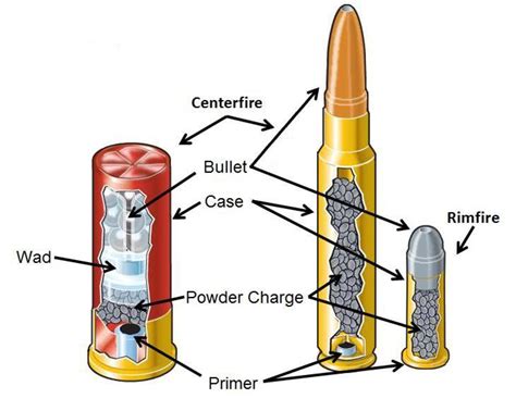 Accidental Discharge: Can A Gun Go Off If Dropped?