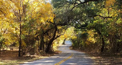 Abilene State Park - Campsite Photos, Campsite Availability Alerts & Info