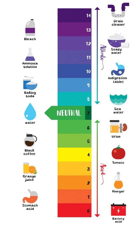 Section 2: Acids, Bases, and Salts | Nitty Gritty Science