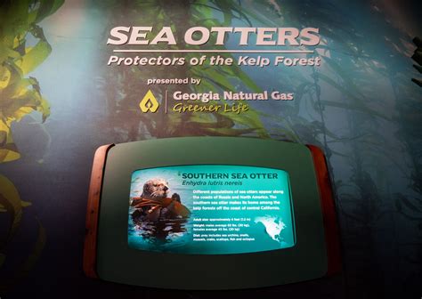 Georgia Aquarium Partners with Georgia Natural Gas® to Launch a New ...