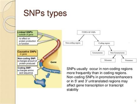 Pharmacogenetics and Pharmacogenomics