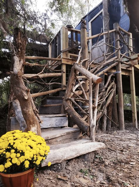 16 Best Treehouses In Florida for The Perfect Retreat - Florida Trippers