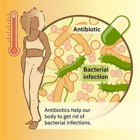 Tackling the collateral damage from antibiotics | EMBL