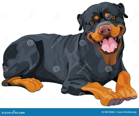 Rottweiler Cartoons, Illustrations & Vector Stock Images - 570 Pictures ...