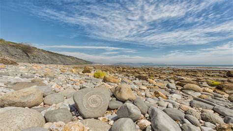 Dorset Jurassic Coast Highlights: 19 Must-Visit Coastal Spots