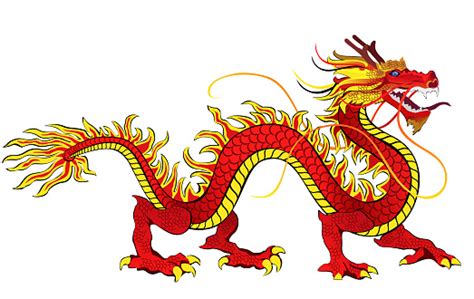 Chinese Dragon Vector Illustration Isolated On White Background Stock Illustration - Download ...