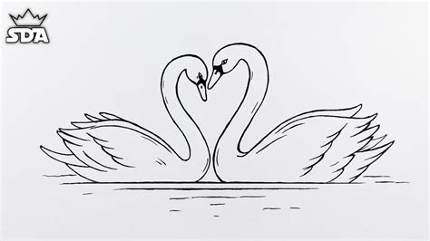 Swans In Love Drawing