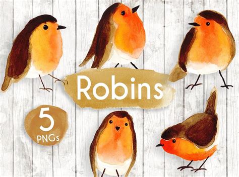 Robin clipart Robins watercolour clip art Robin | Etsy | Bird clipart, Clip art, Watercolor bird