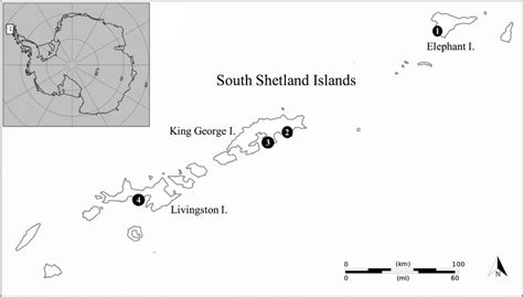 Study area in the South Shetland Islands, Antarctica. Southern Giant... | Download Scientific ...