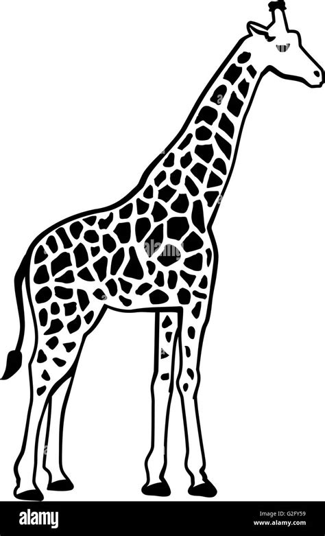 Giraffe silhouette with pattern Stock Photo - Alamy